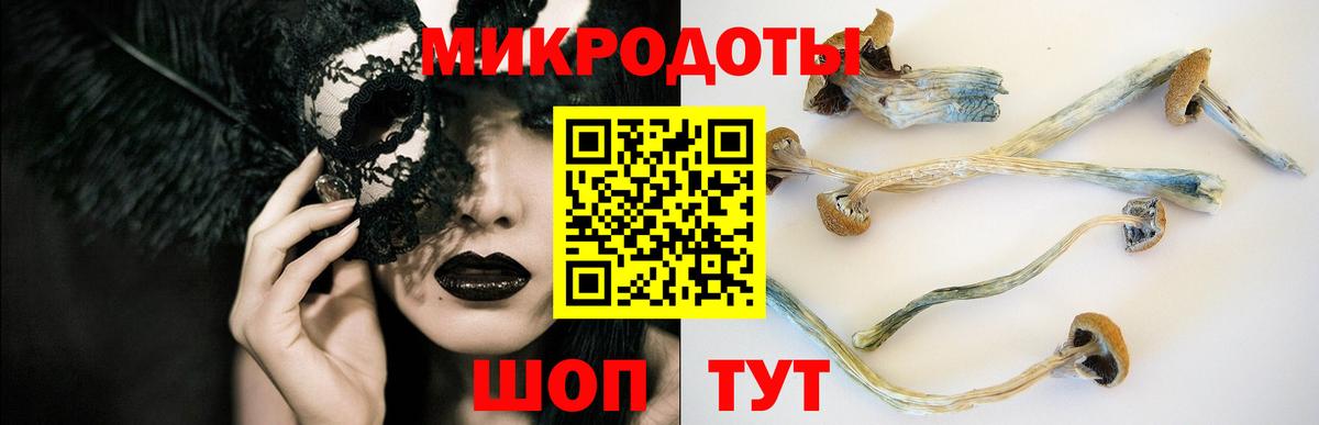 Гагарин  Псилоцибиновые грибы Cubensis  Вход с VPN 